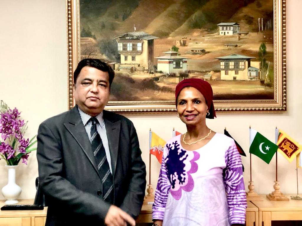 CEO of SAARC Decelopment Fund Dr Sunil Motiwal met with the UNFPA (United Nations Population Fund) Representative for India and Bhutan Ms Argentina Matabele Piccin